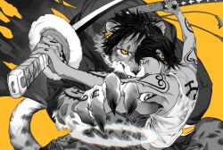 Rule 34 | 2boys, absurdres, animalization, back tattoo, black hair, cape, claws, earrings, gold earrings, greyscale with colored background, hand tattoo, highres, holding, holding sword, holding weapon, jewelry, multiple boys, one piece, ootachi, person and animalization, scabbard, sheath, short hair, shoulder tattoo, simple background, snow leopard boy, sword, tank top, tattoo, torn cape, torn clothes, trafalgar law, unsheathed, weapon, xuchuan, yellow background, yellow eyes
