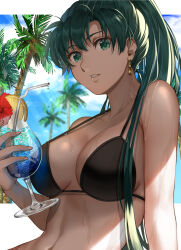 Rule 34 | 1girl, bare shoulders, bikini, black bikini, blue sky, cloud, commentary request, cup, cupping glass, day, delsaber, drinking straw, earrings, fire emblem, fire emblem: the blazing blade, food, fruit, green eyes, green hair, highres, holding, holding cup, jewelry, lemon, lemon slice, long hair, looking at viewer, lyn (fire emblem), navel, nintendo, parted lips, ponytail, sky, solo, stomach, swimsuit, upper body, very long hair