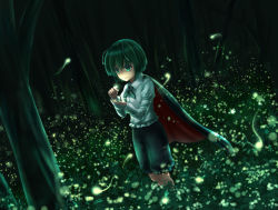 Rule 34 | 1girl, antennae, cape, dark, dutch angle, fireflies, forest, grass, green eyes, green hair, juliet sleeves, knickers, light particles, light trail, long sleeves, looking down, luke (kyeftss), nature, night, outdoors, puffy sleeves, shirt, short hair, smile, solo, standing, touhou, tree, white shirt, wriggle nightbug