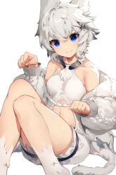 Rule 34 | 1girl, :3, akizone, alchemy stars, animal ears, bare shoulders, blue eyes, blush, breasts, cat tail, collarbone, commentary, feet out of frame, grey hair, grey jacket, highres, jacket, knees up, long hair, long sleeves, looking at viewer, medium breasts, navel, paw pose, philyshy (alchemy stars), puffy long sleeves, puffy sleeves, shiny skin, short hair, simple background, smile, solo, tail, thighhighs, white background