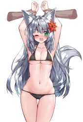 Rule 34 | !?, 1girl, animal ear fluff, animal ears, arms up, bad id, bad pixiv id, bikini, black bikini, blush, breasts, cameltoe, cleavage, collarbone, flower, fox ears, fox girl, fox tail, green eyes, hair flower, hair ornament, highres, holding another&#039;s wrist, large breasts, long hair, navel, nose blush, one eye closed, open mouth, original, red flower, silver hair, simple background, solo focus, standing, stomach, swimsuit, tail, tandohark, tears, thigh grab, trembling, very long hair, white background