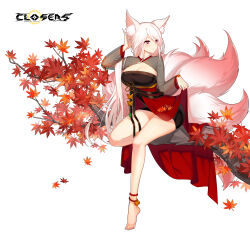 Rule 34 | 1girl, adjusting hair, alternate hair color, animal ear fluff, animal ears, autumn leaves, barefoot, black dress, branch, breasts, bright pupils, cleavage, cleavage cutout, closed mouth, closers, clothing cutout, dress, falling leaves, fingernails, fox ears, fox girl, fox tail, full body, hand up, highres, kitsune, kyuubi, large breasts, layered dress, leaf, long fingernails, long hair, long sleeves, looking to the side, low ponytail, maple leaf, mirae (closers), multiple tails, official art, on branch, pink tail, pinky out, red dress, red eyes, see-through, see-through sleeves, short dress, sitting, sitting on branch, skirt hold, solo, tail, two-tone dress, white background, white hair, white pupils