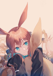 Rule 34 | 1girl, absurdres, amiya (arknights), animal ears, arknights, black jacket, black pantyhose, blue eyes, blue footwear, brown hair, closed mouth, commentary request, ears up, eyebrows, flower, hair over shoulder, happy, head tilt, highres, hug, idass (idass16), infection monitor (arknights), jacket, long hair, long sleeves, lying, hugging object, on stomach, outdoors, pantyhose, plant, rabbit ears, shoes, simple background, smile, solo, stuffed animal, stuffed rabbit, stuffed toy