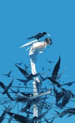 Rule 34 | 1boy, animal, barefoot, bent over, bird, bird on back, black hair, blue background, blue sky, blue theme, clear sky, covered face, crow, dated, day, english text, facing down, falling feathers, feathered wings, feathers, from side, full body, hand in pocket, hands in pockets, highres, jacket, leaning forward, long sleeves, male focus, on top of pole, open clothes, open jacket, original, outdoors, pants, parted bangs, power lines, rido (ridograph), shirt, short hair, sidelocks, signature, simple background, sky, solo, standing, utility pole, white jacket, white pants, white shirt, wide shot, wind, wings