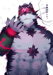 Rule 34 | 1boy, abs, absurdres, animal ears, bara, chest hair, dark persona, fangs, fingernails, furry, furry male, grey fur, grey hair, headband, highres, horkeu kamui, large pectorals, male focus, multicolored hair, muscular, muscular male, nipples, pectorals, pelvic curtain, red eyes, sharp fingernails, short hair, solo, stomach, tail, tokyo houkago summoners, translation request, tt (ptcmtr), two-tone fur, upper body, vambraces, white fur, wolf boy, wolf ears, wolf tail