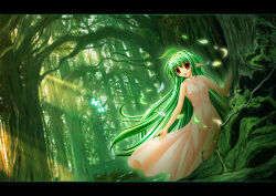 1girl :d bad_id bare_arms bare_shoulders breasts dress forest green_hair green_theme hair_between_eyes leaf letterboxed lif_(ragnarok_online) light_rays long_hair medium_breasts nature open_mouth outdoors pointy_ears ragnarok_online red_eyes sima_(yggdrasil) sleeveless sleeveless_dress smile solo standing tree very_long_hair white_dress