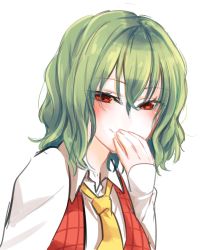 Rule 34 | 1girl, alternate eye color, bad id, bad pixiv id, collared shirt, covering own mouth, eyes visible through hair, giggling, green hair, hair between eyes, kazami yuuka, long sleeves, looking at viewer, mappe (778exceed), necktie, open clothes, open vest, orange eyes, plaid, plaid vest, red vest, shirt, short hair, sketch, smile, solo, touhou, upper body, vest, wavy hair, white shirt, yellow necktie