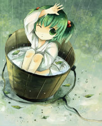 Rule 34 | 1girl, bad id, bad pixiv id, bucket, female focus, green eyes, green hair, hair bobbles, hair ornament, ichitaro, in bucket, in container, kisume, leaf, matching hair/eyes, rain, solo, touhou, twintails