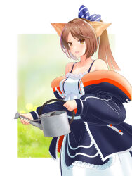 Rule 34 | 1girl, absurdres, animal ears, arknights, blue bow, blue jacket, blush, bow, breasts, brown hair, cowboy shot, dress, fox ears, fox girl, fur-trimmed jacket, fur trim, hair bow, highres, holding, holding watering can, jacket, long hair, looking at viewer, off shoulder, open clothes, open jacket, open mouth, perfumer (arknights), ponytail, redeye tmirm, sleeveless, sleeveless dress, small breasts, solo, striped, striped bow, watering can, white dress, yellow eyes