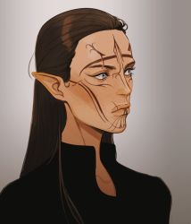Rule 34 | 1girl, blue eyes, brown hair, character request, cheetahman (1ddghfr78cswc), dragon age, elf, facial tattoo, grey background, hair pulled back, long hair, looking to the side, pointy ears, scar, scar on face, shirt, simple background, solo, tattoo, upper body