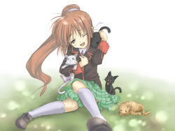 Rule 34 | 1girl, ;d, animal, blush, cat, full body, fur, green skirt, head tilt, little busters!, loafers, long sleeves, natsume rin, one eye closed, open mouth, plaid, plaid skirt, pleated skirt, satou takeshi, shoes, skirt, smile, solo, thighhighs, too many, too many cats, whiskers, white thighhighs
