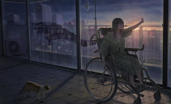 Rule 34 | 1girl, absurdres, animal, backlighting, cat, full body, hand on glass, highres, hospital gown, indoors, intravenous drip, iv stand, lips, long hair, namako mikan, original, outstretched arm, outstretched hand, sandals, scenery, sky, spread fingers, tile floor, tiles, twilight, wheelchair, window