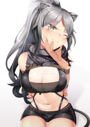 Rule 34 | 1girl, angry, animal ear fluff, animal ears, annoyed, arknights, bare shoulders, black scarf, black shorts, blush, bound, breasts, cat ears, cat tail, cleavage, commentary request, cowboy shot, crop top, disembodied hand, gradient background, grey background, head tilt, highres, large breasts, long hair, midriff, navel, one eye closed, partial commentary, ponytail, pov, pov hands, restrained, scarf, schwarz (arknights), short shorts, shorts, silver hair, sitting, sleeveless, solo focus, stomach, tail, tied up, v-shaped eyebrows, white background, yasume yukito, yellow eyes