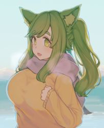 Rule 34 | 1girl, :d, animal ears, bad id, bad pixiv id, blue sky, blush, breasts, breath, commentary, day, fang, green eyes, green hair, inuyama aoi, kemonomimi mode, large breasts, long sleeves, looking at viewer, mogu (kanikama mgmg), open mouth, outdoors, pink scarf, scarf, skin fang, sky, slit pupils, smile, solo, sweater, thick eyebrows, twintails, upper body, yurucamp