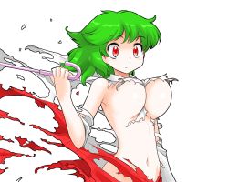 Rule 34 | 1girl, black background, blush, breasts, censored, convenient censoring, exploding clothes, green hair, kazami yuuka, large breasts, mono (moiky), navel, red eyes, short hair, solo, torn clothes, touhou, transparent background, umbrella, underboob