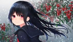 Rule 34 | 1girl, bad anatomy, berry, black hair, black sailor collar, black shirt, blurry, blurry background, blush, closed mouth, commentary request, depth of field, hair between eyes, highres, long hair, looking at viewer, looking to the side, neku (neku draw), original, red eyes, sailor collar, school uniform, serafuku, shirt, smile, solo
