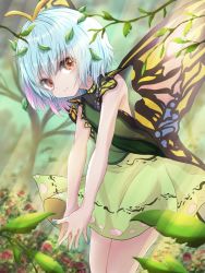 Rule 34 | 1girl, antennae, backless outfit, blue hair, blue nails, blurry, blurry background, butterfly wings, commentary request, cowboy shot, day, eternity larva, fingernails, flower, forest, green shirt, highres, insect wings, kayon (touzoku), leaf, leaf on head, leaning forward, light rays, looking at viewer, nail polish, nature, outdoors, own hands together, red eyes, red flower, shirt, short hair, skirt, smile, solo, standing, sunbeam, sunlight, touhou, tree, wings, yellow skirt