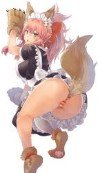 Rule 34 | 10s, 1girl, animal ear fluff, animal ears, animal hands, apron, ass, bow, breasts, cat hair ornament, cat paws, collar, dress, fate/extra, fate/grand order, fate (series), fox ears, fox tail, frills, gloves, hair between eyes, hair bow, hair ornament, hip focus, large breasts, legs, long hair, looking at viewer, looking back, maid, maid apron, maid headdress, open mouth, panties, paw gloves, paw shoes, pink hair, ponytail, puffy short sleeves, puffy sleeves, red bow, red panties, shoes, short sleeves, sidelocks, simple background, single thighhigh, solo, striped clothes, striped panties, sumisu (mondo), tail, tamamo (fate), tamamo cat (fate), tamamo cat (second ascension) (fate), thighhighs, thighs, underwear, white background, white thighhighs, yellow eyes