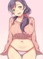 Rule 34 | 10s, 1girl, :d, blush, breasts, crop top, duke (inu daimyou), green eyes, hair ornament, hair over shoulder, hair scrunchie, jewelry, large breasts, long hair, long sleeves, looking at viewer, love live!, love live! school idol festival, love live! school idol project, low-tied long hair, navel, necklace, no pants, open mouth, panties, pink background, pink panties, pink scrunchie, pink sweater, purple hair, round teeth, scrunchie, sitting, sleeves past wrists, smile, solo, stomach, sweater, teeth, tojo nozomi, underwear, upper teeth only