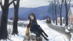 Rule 34 | 1girl, absurdres, bird, black gloves, black robe, black thighhighs, blue dress, blue eyes, brooch, carriage, cat, closed mouth, collar, dirt road, dress, elaina (majo no tabitabi), eyebrows hidden by hair, footprints, full body, gloves, goose, grey hair, hair between eyes, highres, hooded robe, jewelry, looking at another, majo no tabitabi, pointy footwear, road, robe, scenery, snow, solo, star brooch, stone wall, suitcase, thighhighs, ti hai diao yu, wall, white collar, white hair, winter