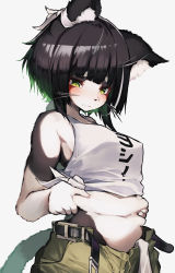 Rule 34 | 1girl, absurdres, animal ears, animal nose, belly, belt, black belt, black hair, blush, body fur, breasts, closed mouth, furry, furry female, green eyes, green pants, grey background, highres, looking down, medium breasts, navel, original, pants, plump, short hair, simple background, sleeveless, slit pupils, solo, tab head, tail, whiskers
