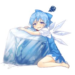 Rule 34 | 1girl, annoyed, bad id, bad twitter id, barefoot, blue dress, blue eyes, blue hair, blush, bow, cirno, dress, drooling, feet, full body, hair bow, hair ornament, ice, ice cube, ice wings, legs, looking at viewer, matching hair/eyes, open mouth, puffy sleeves, shinova, shnva, short hair, short sleeves, simple background, sitting, slime, solo, squiggle, sweat, touhou, white background, wings