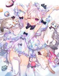 Rule 34 | 1girl, ;d, absurdres, animal, animal ear fluff, animal ears, armpits, arms up, between legs, black bow, blue dress, blue eyes, blush, bow, brush, cat, cat day, cat ears, cat girl, cat tail, commentary request, dress, fang, feet out of frame, flower, hair between eyes, hair flower, hair ornament, hat, highres, leotard, leotard under clothes, long hair, looking at viewer, lying, mini hat, nekoyashiki pushio, on back, one eye closed, open mouth, original, pink flower, plaid, puffy short sleeves, puffy sleeves, purple eyes, see-through, see-through silhouette, short sleeves, silver hair, smile, solo, strapless, strapless dress, tail, tail between legs, thighhighs, tilted headwear, toy mouse, very long hair, white hat, white leotard, white thighhighs