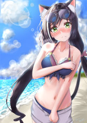 Rule 34 | 1girl, absurdres, animal ear fluff, animal ears, artist name, bad id, bad pixiv id, bare shoulders, beach, bikini, black hair, blue bikini, blurry, blurry background, blush, bow, breasts, cat ears, cat girl, cat tail, cleavage, closed mouth, cloud, cloudy sky, collarbone, commentary request, dated, day, eyewear on head, female focus, green eyes, hair bow, highres, karyl (princess connect!), karyl (summer) (princess connect!), long hair, looking at viewer, medium breasts, miyama mizuki(hoshihoshi1220), multicolored hair, navel, nose blush, ocean, outdoors, princess connect!, purple bow, short shorts, shorts, sky, solo, standing, streaked hair, sunglasses, sunglasses on head, swimsuit, tail, white hair