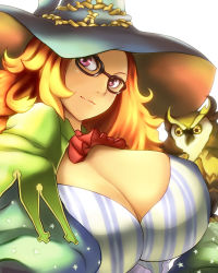 Rule 34 | 1girl, bad id, bad pixiv id, bird, breasts, brown hair, cleavage, ginji74, glasses, grand knights history, hat, huge breasts, long hair, muse cromwell, owl, solo, witch hat