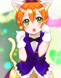 Rule 34 | 1girl, animal ears, artist name, artist request, bare shoulders, black bow, blue shirt, blurry, blurry background, blush, bow, bowtie, breasts, cat ears, cat tail, clenched hands, collared shirt, earrings, fake animal ears, female focus, frilled shirt, frills, gloves, green eyes, hair between eyes, hair bow, heart, heart earrings, highres, hoshizora rin, jewelry, korekara no someday, looking at viewer, love live!, love live! school idol festival, love live! school idol project, nekoneko nyako, orange hair, orange shorts, parted lips, polka dot, polka dot shorts, puffy shorts, ribbon, shirt, short hair, shorts, sleeveless, smile, solo, tail, white gloves, yellow eyes