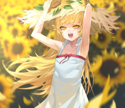 Rule 34 | 1girl, armpits, arms up, bakemonogatari, bare shoulders, bow, dress, fangs, flower, hat, highres, holding, holding clothes, holding hat, long hair, monogatari (series), open mouth, oshino shinobu, outdoors, red bow, sb lama, solo, standing, straw hat, sunflower, vampire, white dress, yellow eyes