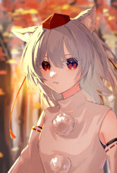 Rule 34 | 1girl, absurdres, animal ear fluff, animal ears, autumn, autumn leaves, bare shoulders, blurry, blurry background, blush, closed mouth, detached sleeves, forest, grey hair, grey shirt, hair between eyes, hat, hatsu shiki, highres, inubashiri momiji, leaf, long sleeves, looking at viewer, nature, outdoors, pom pom (clothes), red eyes, red hat, shirt, short hair, solo, sun, sunlight, teeth, tokin hat, touhou, tree, upper body, wide sleeves, wolf ears