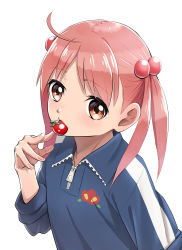 Rule 34 | 1girl, absurdres, blue shirt, brown eyes, eating, hair bobbles, hair ornament, hasegawa (hase popopo), highres, isshiki momo, looking at viewer, pink hair, shirt, short hair, solo, tomato, twintails, upper body, vividred operation, zipper, zipper pull tab