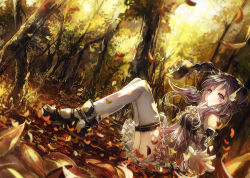Rule 34 | 1girl, animal hood, autumn leaves, detached sleeves, dress, dutch angle, forest, hand on own chin, hood, leaf, light particles, looking at viewer, nature, purple eyes, purple hair, reaching, short hair, sidelocks, sitting, solo, thighhighs, tree, vima, vocaloid, voiceroid, white thighhighs, wind, yuzuki yukari