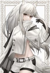 Rule 34 | 1girl, animal ear fluff, animal ears, arknights, black gloves, commentary, cowboy shot, gloves, grey eyes, groin, hand up, highres, jacket, long hair, long sleeves, looking at viewer, midriff, platinum (arknights), short shorts, shorts, solo, standing, suiua, tail, white hair, white jacket, white shorts, wide sleeves