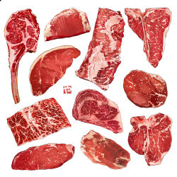 Rule 34 | bone, food, food focus, highres, meat, no humans, original, raw meat, simple background, steak, still life, studiolg, white background
