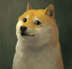 Rule 34 | animal, animal ears, animal focus, body fur, brown eyes, closed mouth, commentary, dog, doge, english commentary, green background, kabosu (dog), kan liu (666k), looking at viewer, no humans, portrait, real life, realistic, shiba inu, simple background, smile, solo, upper body, whiskers
