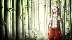 Rule 34 | 1girl, bamboo, bamboo forest, blouse, bluedoggie, bow, collared shirt, commentary, forest, fujiwara no mokou, hair between eyes, hair bow, half-closed eyes, half updo, hands in pockets, highres, leaf, long hair, long sleeves, looking away, looking to the side, nature, ofuda, ofuda on clothes, pants, parted lips, puffy long sleeves, puffy sleeves, red eyes, red pants, scenery, shirt, shirt tucked in, silver hair, solo, suspenders, touhou, very long hair, white shirt