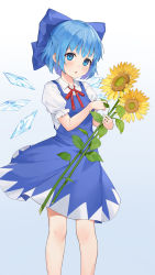 Rule 34 | 1girl, :o, absurdres, blue background, blue bow, blue dress, blue eyes, blue hair, blush, bow, cirno, commentary request, detached wings, dishiren, dress, feet out of frame, flower, frilled sleeves, frills, gradient background, hair bow, highres, holding, holding flower, ice, ice wings, neck ribbon, open mouth, pinafore dress, red ribbon, ribbon, shirt, short hair, short sleeves, sleeveless dress, solo, standing, sunflower, touhou, white shirt, wings, yellow flower