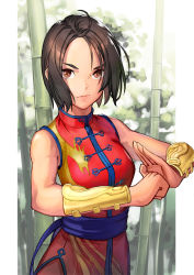 Rule 34 | 1girl, ahoge, bamboo, bamboo forest, bare shoulders, brown eyes, brown hair, capcom, china dress, chinese clothes, dress, forest, hinoru saikusa, kazama akira, looking at viewer, nature, serious, short hair, sleeveless, sleeveless dress, solo, standing, street fighter, upper body