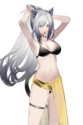 Rule 34 | 1girl, animal ears, arknights, armpits, arms up, bare arms, bare shoulders, bikini, black bikini, black choker, breasts, cat ears, cat tail, choker, cleavage, commentary, cowboy shot, eugle na, grey hair, hair tie in mouth, highres, holding, holding own hair, large breasts, long hair, mouth hold, navel, ponytail, sarong, schwarz (arknights), simple background, solo, standing, stomach, swimsuit, tail, thigh strap, thighs, very long hair, white background, yellow eyes
