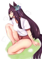 Rule 34 | 1girl, absurdres, animal ears, arms at sides, bare legs, blush, buruma, commentary request, ear ornament, grass, gym uniform, hair between eyes, highres, horse ears, horse girl, horse tail, itsuyoitsuyo, knee up, legs folded, long hair, looking afar, mejiro dober (umamusume), on grass, open mouth, purple eyes, purple hair, shiny skin, short sleeves, simple background, sitting, solo, steam, sweat, tail, thighs, umamusume, very long hair, wet, wet hair, white background