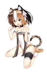 Rule 34 | 1girl, animal ears, bare shoulders, black eyes, brown hair, cat ears, cat tail, choker, collarbone, fang, full body, hair ribbon, highres, bridal garter, looking at viewer, multicolored hair, one-piece swimsuit, orange hair, paw pose, ribbon, short hair, sitting, slit pupils, solo, swimsuit, tail, ttnap, wariza, white background, white hair