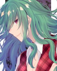 Rule 34 | 1girl, asa (coco), breasts, cleavage, commentary request, green hair, grey background, hair between eyes, kazami yuuka, kazami yuuka (pc-98), long hair, looking at viewer, medium breasts, plaid, plaid vest, portrait, profile, red eyes, red vest, shirt, sidelocks, smile, solo, touhou, touhou (pc-98), two-tone background, vest, white background, white shirt