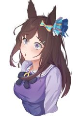 Rule 34 | 1girl, absurdres, animal ears, bow, bowtie, breasts, brown hair, cropped torso, ear bow, highres, horse ears, long hair, long sleeves, mejiro dober (umamusume), nervous sweating, open mouth, purple eyes, purple shirt, raised eyebrows, sailor collar, shirt, small breasts, solo, surprised, sweat, umamusume, upper body, white background, yonemochi yume