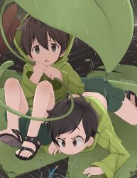 Rule 34 | 2boys, all fours, arakokra, artist name, brown eyes, brown hair, bug, cattail, child, commentary, dragonfly, green shorts, highres, insect, leaf, lily pad, male focus, mini person, miniboy, multiple boys, original, plant, pond, raincoat, sandals, shorts, sitting, tareme, top-down bottom-up, tsurime, water