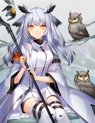 Rule 34 | 1girl, animal, arknights, armband, bird, black shirt, blouse, breasts, closed mouth, coat, dress, expressionless, feather hair, highres, holding, holding staff, ion (on01e), leg belt, long hair, long sleeves, looking at viewer, medium breasts, open clothes, open coat, owl, owl ears, ptilopsis (arknights), ptilopsis (elite ii) (arknights), shirt, silver hair, sitting, solo, staff, thigh strap, thighhighs, undershirt, white coat, white dress, white thighhighs, wide sleeves, yellow eyes