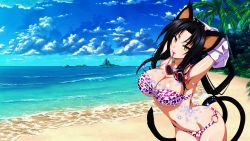Rule 34 | 1girl, animal ears, animal print, beach, bikini, black hair, breasts, cat ears, cat girl, cat tail, cleavage, covered erect nipples, day, eyewear in mouth, unworn eyewear, hair rings, hairband, high school dxd, high school dxd born, highres, kuroka (high school dxd), large breasts, leopard print, lipstick, makeup, mouth hold, multiple tails, navel, o-ring, o-ring bottom, ocean, purple lips, sky, slit pupils, solo, sunglasses, swimsuit, tail, wallpaper, water, yellow eyes