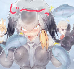 Rule 34 | 0 0, 10s, 3girls, :d, ^^^, against glass, air bubble, animal ears, black gloves, black hair, blurry, blurry foreground, blush, bow, bowtie, breast pocket, breast press, breasts, breasts on glass, bubble, chibi, closed mouth, collared shirt, commentary request, d:, depth of field, fish, fish tank, glass, gloves, grey hair, grey shirt, hair between eyes, hair intakes, hand on glass, hands up, hat feather, helmet, kaban (kemono friends), kemono friends, large breasts, layered sleeves, lips, long hair, long sleeves, looking at another, low ponytail, mogera81, multicolored hair, multiple girls, necktie, o o, open mouth, orange eyes, orange hair, pith helmet, pocket, print neckwear, red shirt, serval (kemono friends), serval print, shirt, shoebill (kemono friends), short hair, short over long sleeves, short sleeves, side ponytail, smile, solo focus, sound effects, staring, submerged, surprised, sweat, upper body, v-shaped eyebrows, water, white neckwear, wing collar