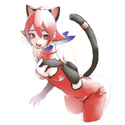 Rule 34 | 1girl, animal ears, bad id, bad twitter id, bare shoulders, black gloves, bodysuit, breasts, cat cutout, cat ears, cat tail, character request, choker, cleavage cutout, clothing cutout, gloves, highres, kwz, leaning forward, looking at viewer, medium breasts, open mouth, red eyes, red hair, short hair, solo, tail, tenka hyakken, whiskers